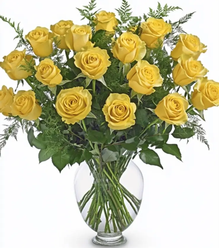 2 Dozen Yellow Roses