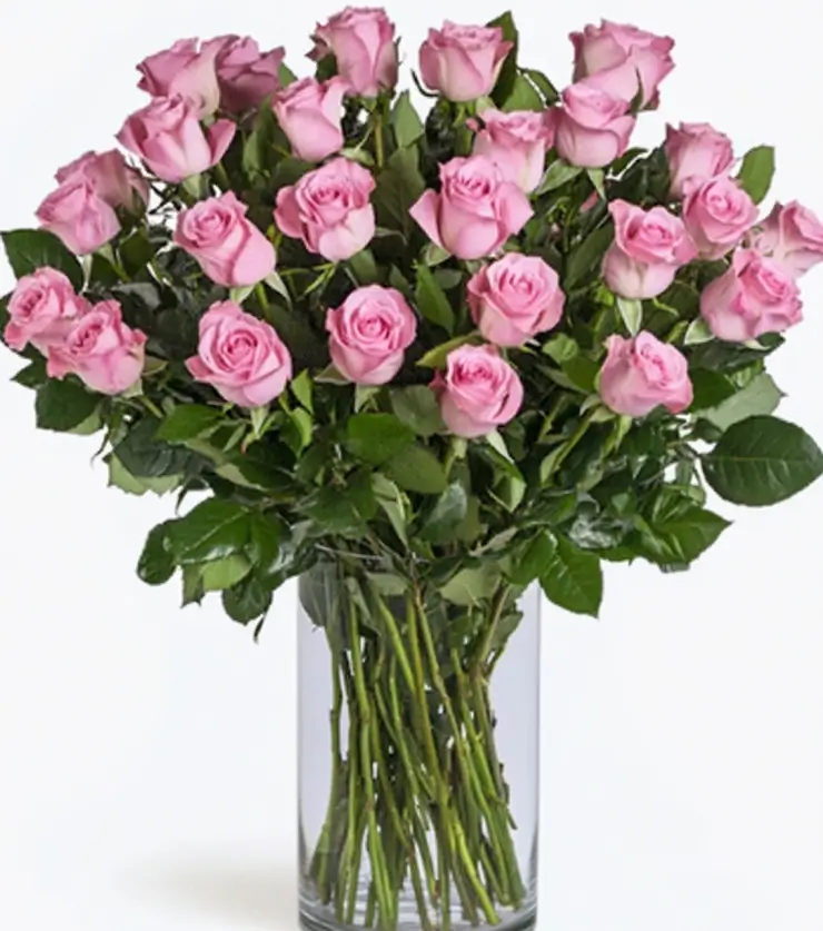 Two Dozen Pink Roses