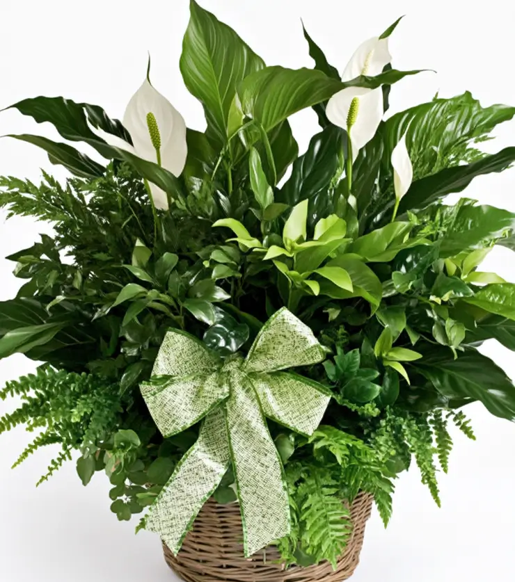 Vibrant Collection Basket