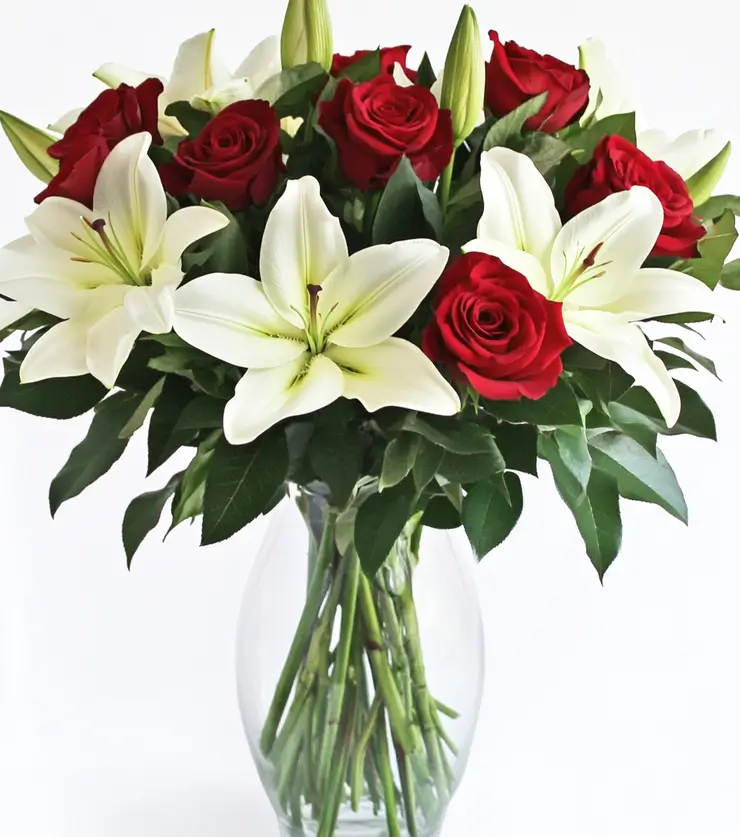 Winter Wonderland Blooms