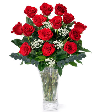 Dozen Long Stem Red Roses