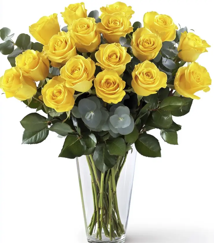 Luscious sunkissed yellow roses