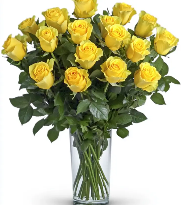 2 Dozen Yellow Roses