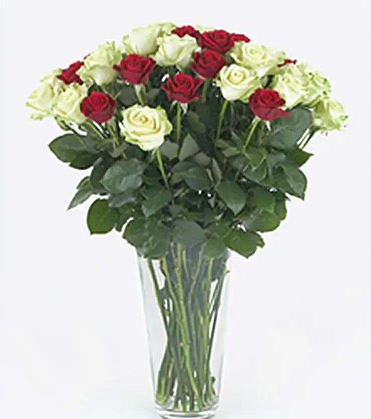 Luxurious 24 White Roses