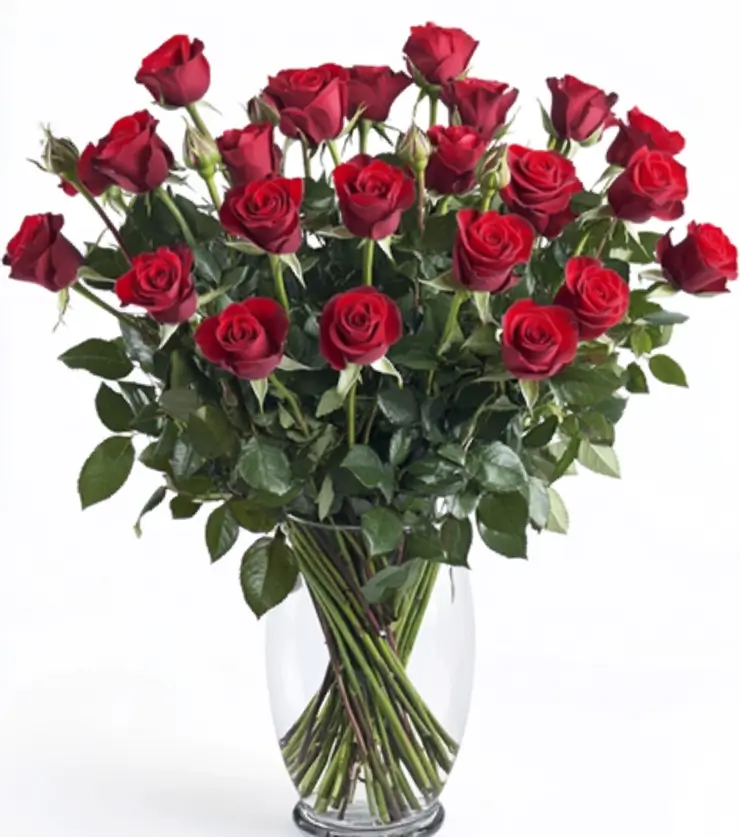 Twenty-Four Fabulous Red Roses