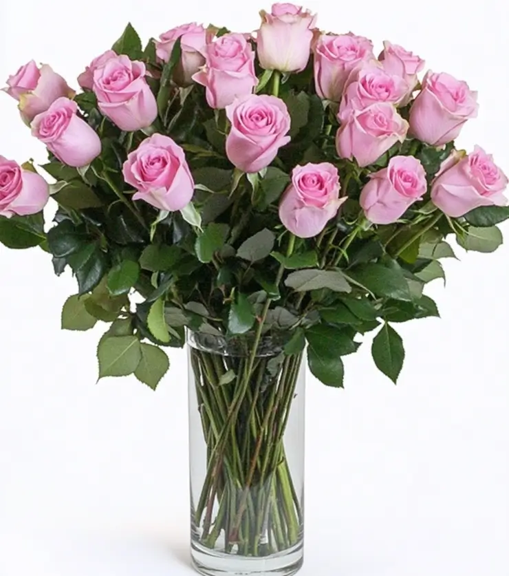 Two Dozen Pink Roses
