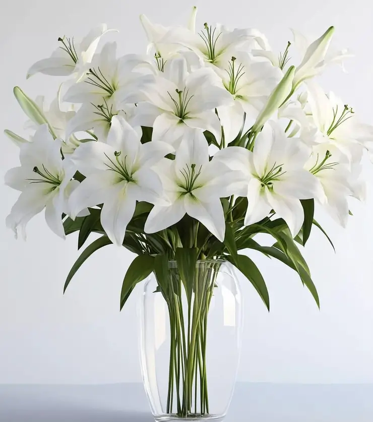 Precious Lilies