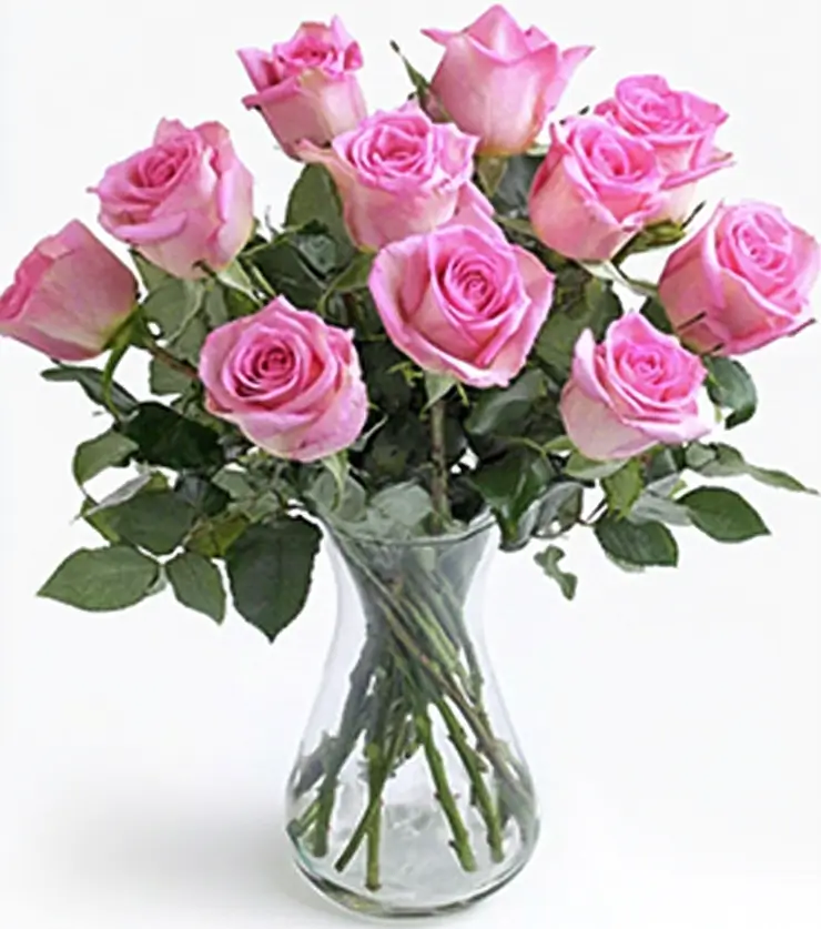 Pink Roses