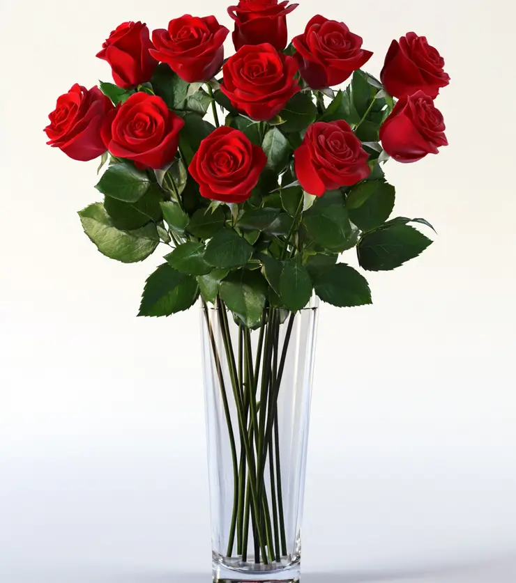 One Dozen Red Roses