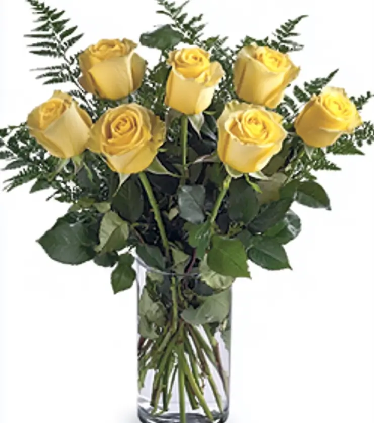 6 Yellow Roses