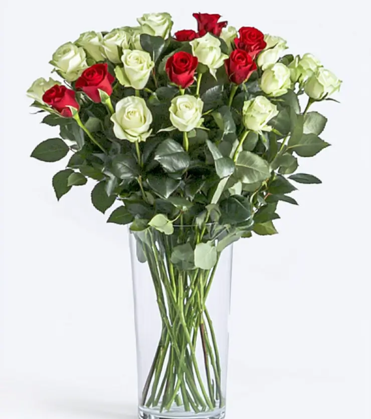 Luxurious 24 White Roses
